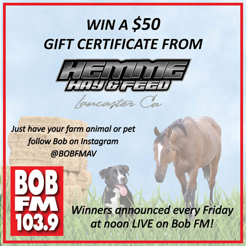 Bob fm 103 9 edwards california