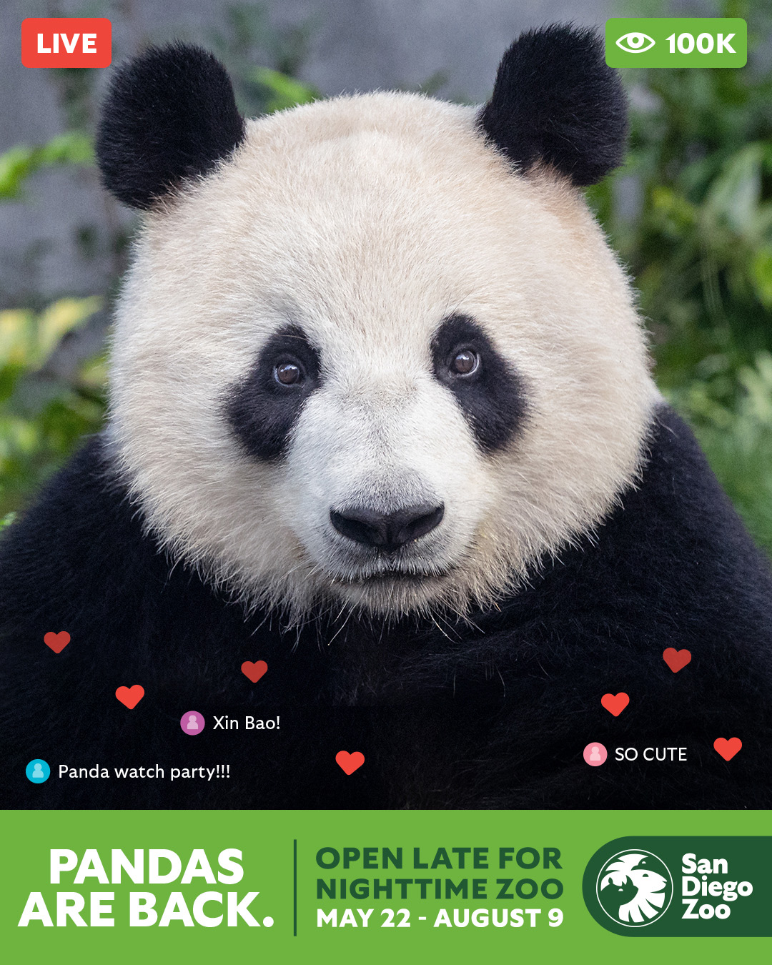 Win tickets San Diego Zoo